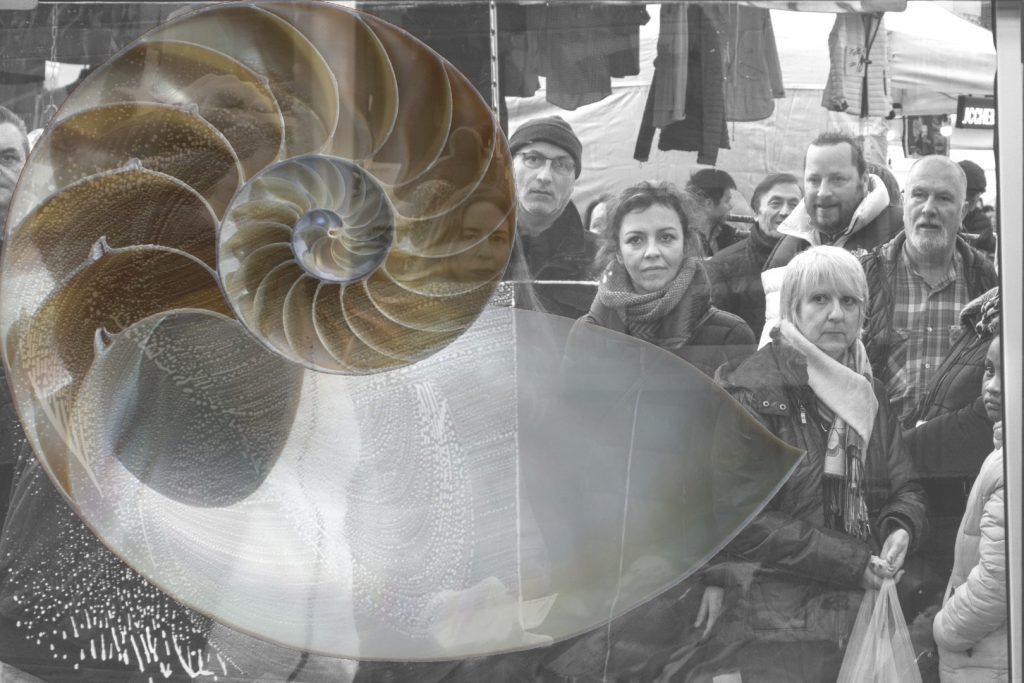 Inquadratura con nautilus