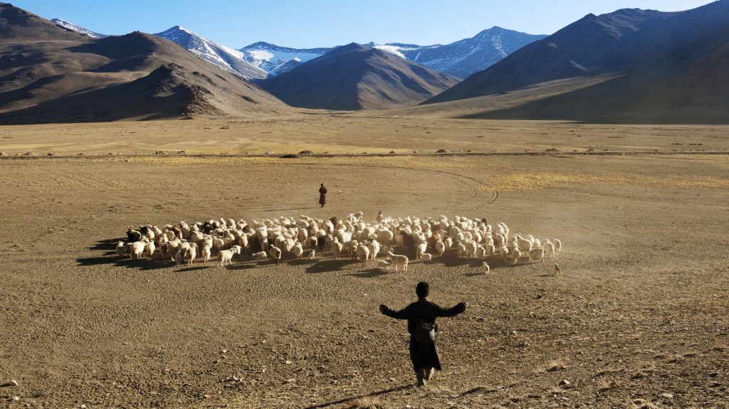 Ladakh_India_2008_SteveMcCurry