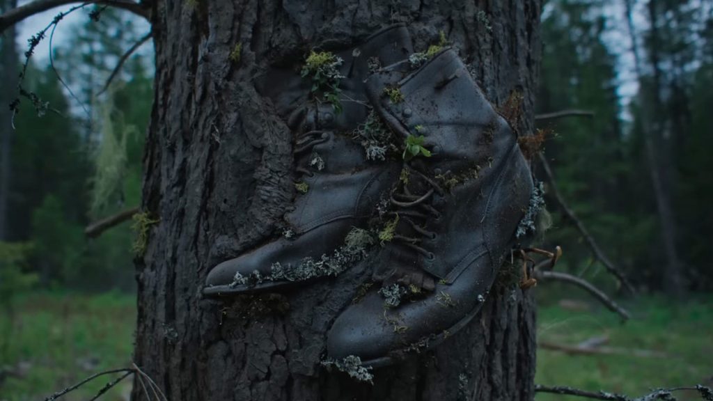 Train Dreams_Dettaglio delle scarpe sull'albero